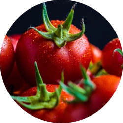 Licopeno de Tomate